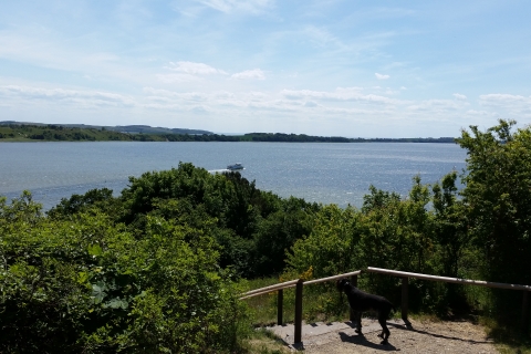 Blick-auf-die-Harving