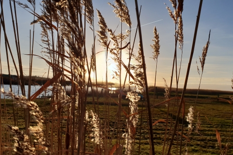 Sonnenuntergang-in-Moritzdorf-2