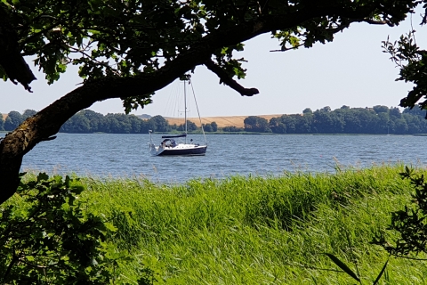 Wanderweg-Moritzdorf-Seedorf